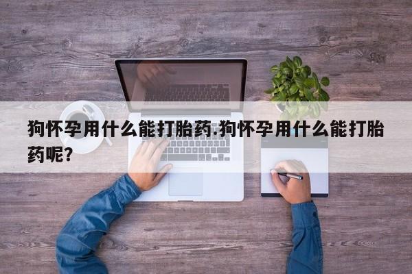 私人卖流产药联系方式狗怀孕用什么能打胎药.狗怀孕用什么能打胎药呢？