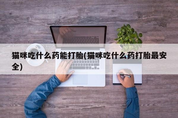 私人卖流产药联系方式猫咪吃什么药能打胎(猫咪吃什么药打胎最安全)