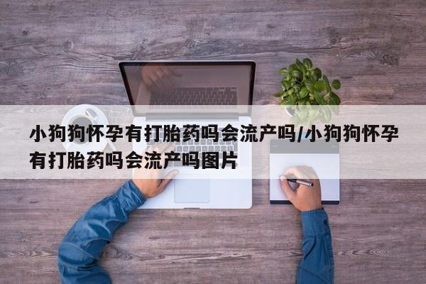 私人卖流产药联系方式小狗狗怀孕有打胎药吗会流产吗/小狗狗怀孕有打胎药吗会流产吗图片