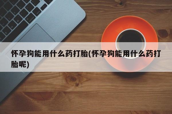 私人卖流产药联系方式怀孕狗能用什么药打胎(怀孕狗能用什么药打胎呢)